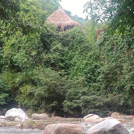 Sierra Tayrona Hostel 엘 자이노 외부 사진