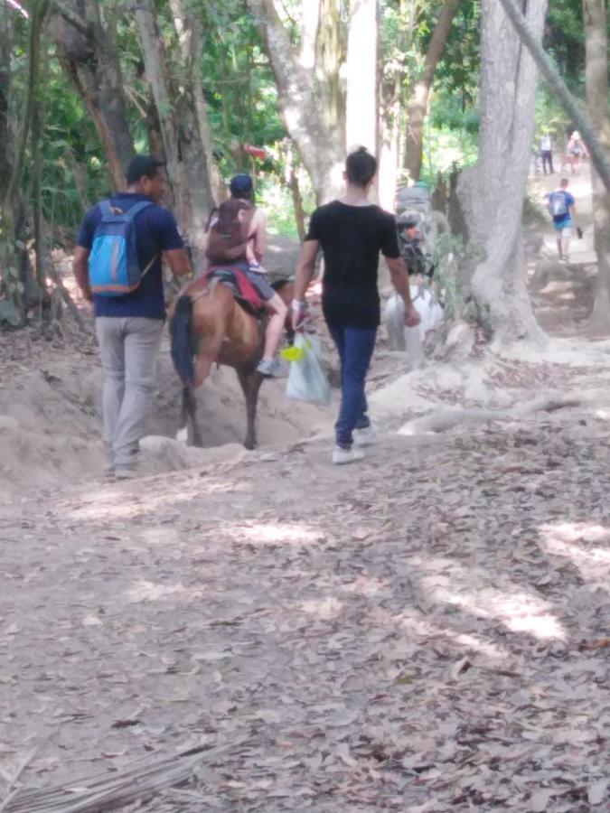 Sierra Tayrona Hostel 엘 자이노 외부 사진