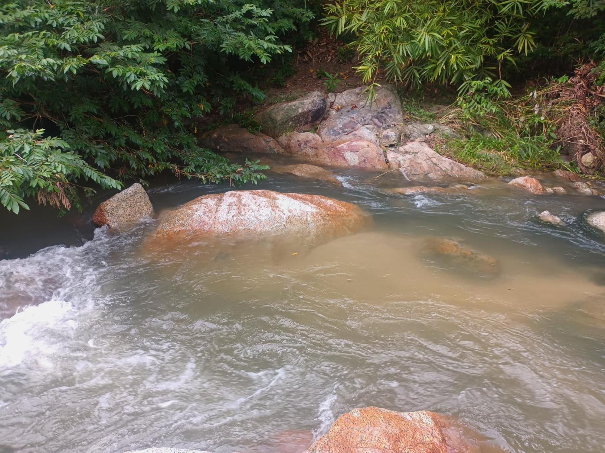 Sierra Tayrona Hostel 엘 자이노 외부 사진