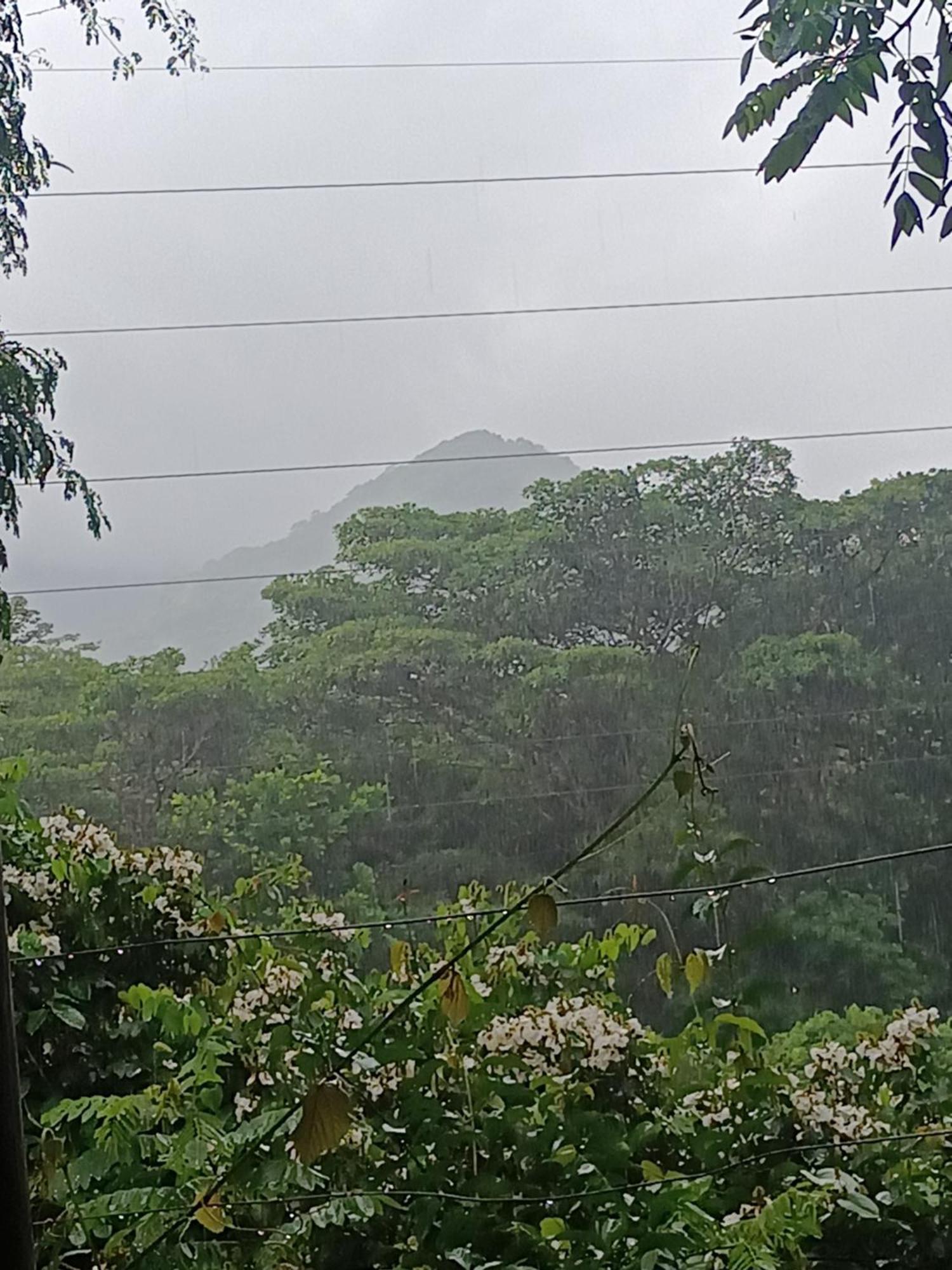 Sierra Tayrona Hostel 엘 자이노 외부 사진