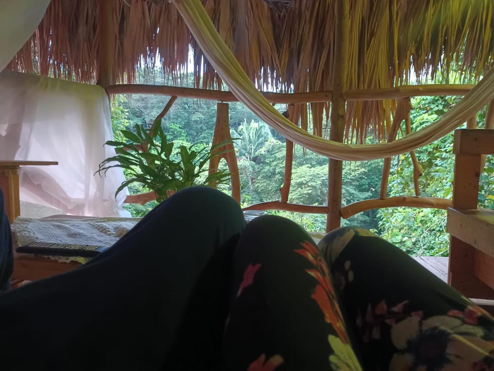 Sierra Tayrona Hostel 엘 자이노 외부 사진