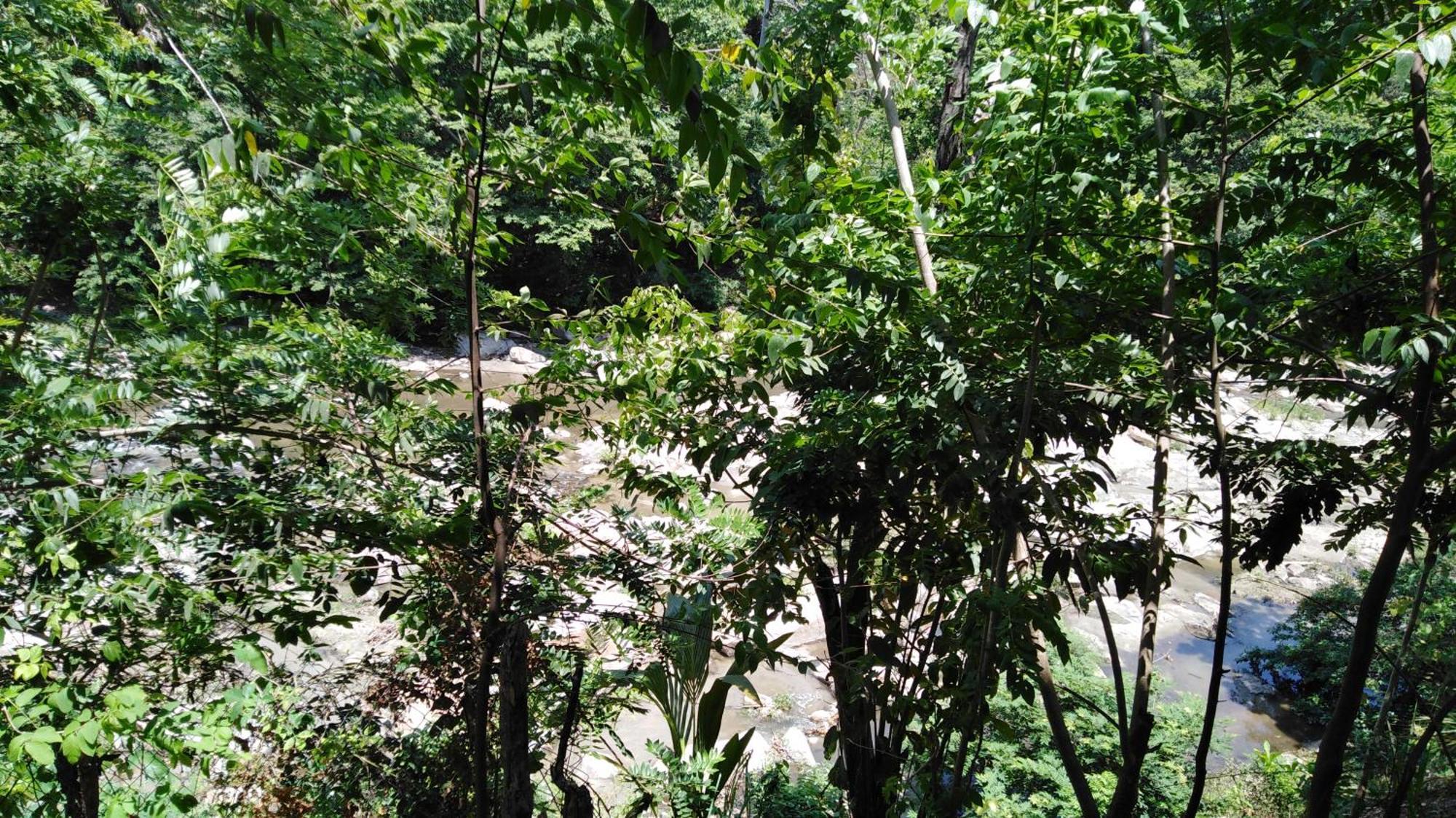 Sierra Tayrona Hostel 엘 자이노 외부 사진