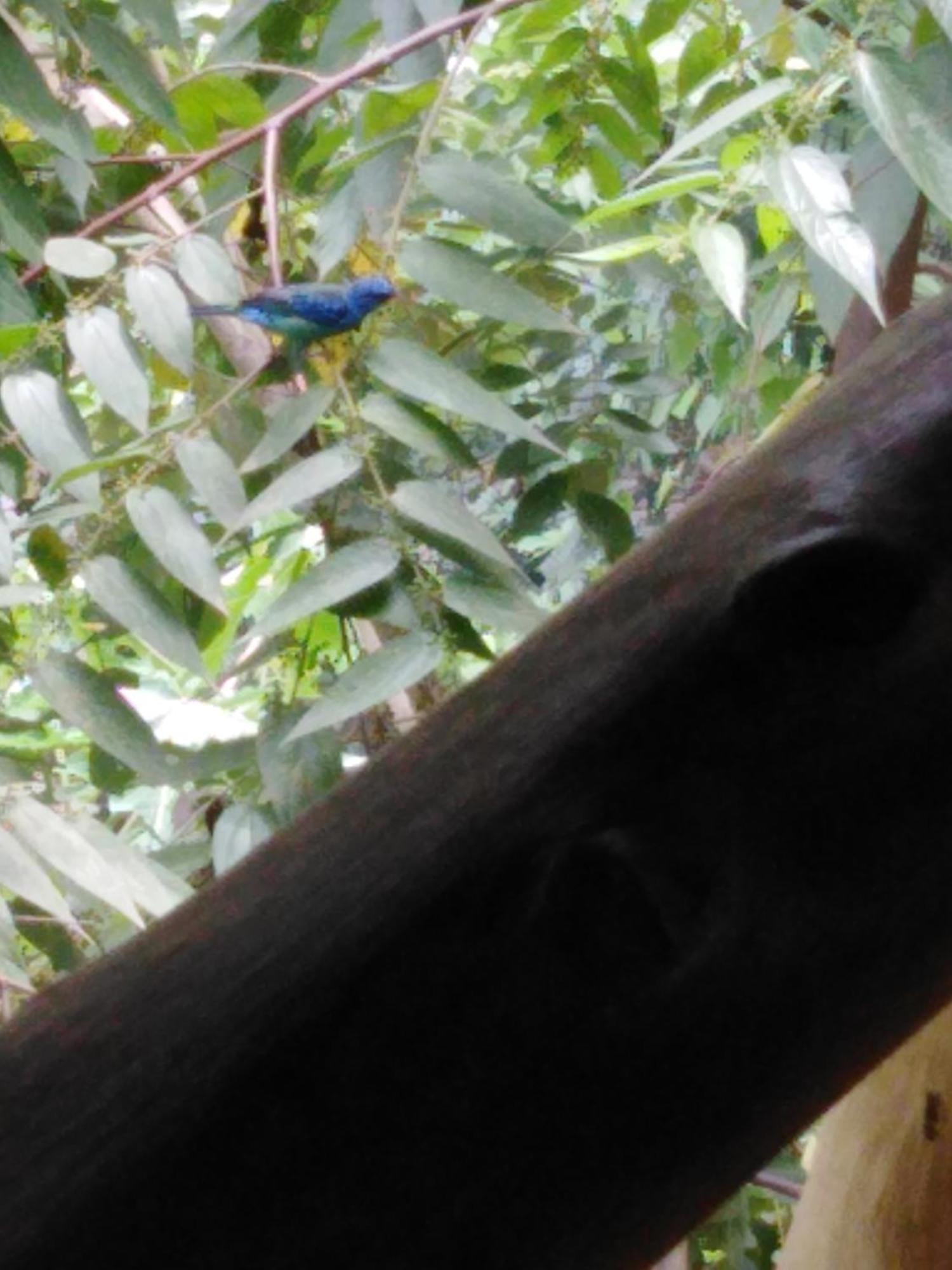 Sierra Tayrona Hostel 엘 자이노 외부 사진