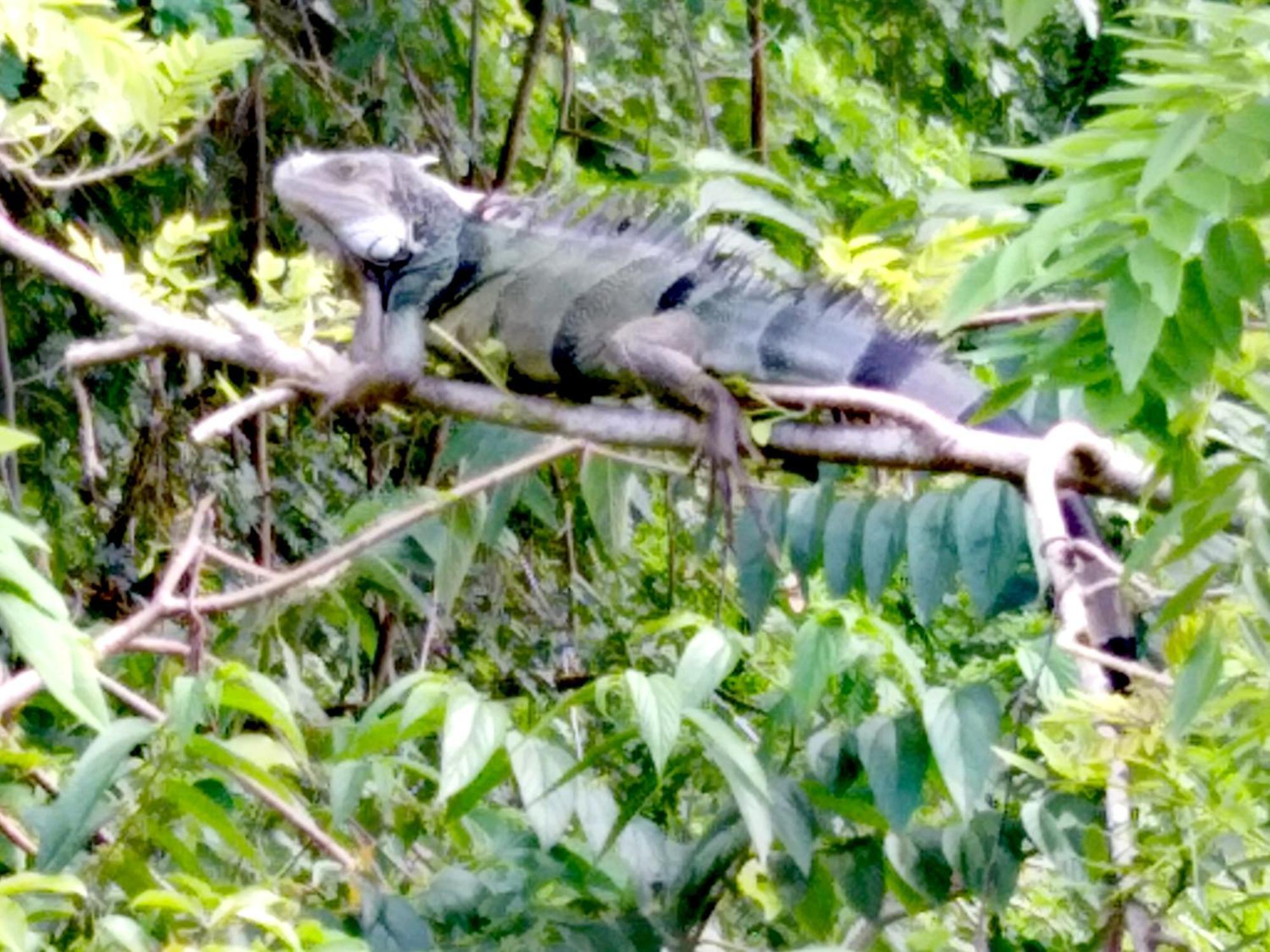 Sierra Tayrona Hostel 엘 자이노 외부 사진