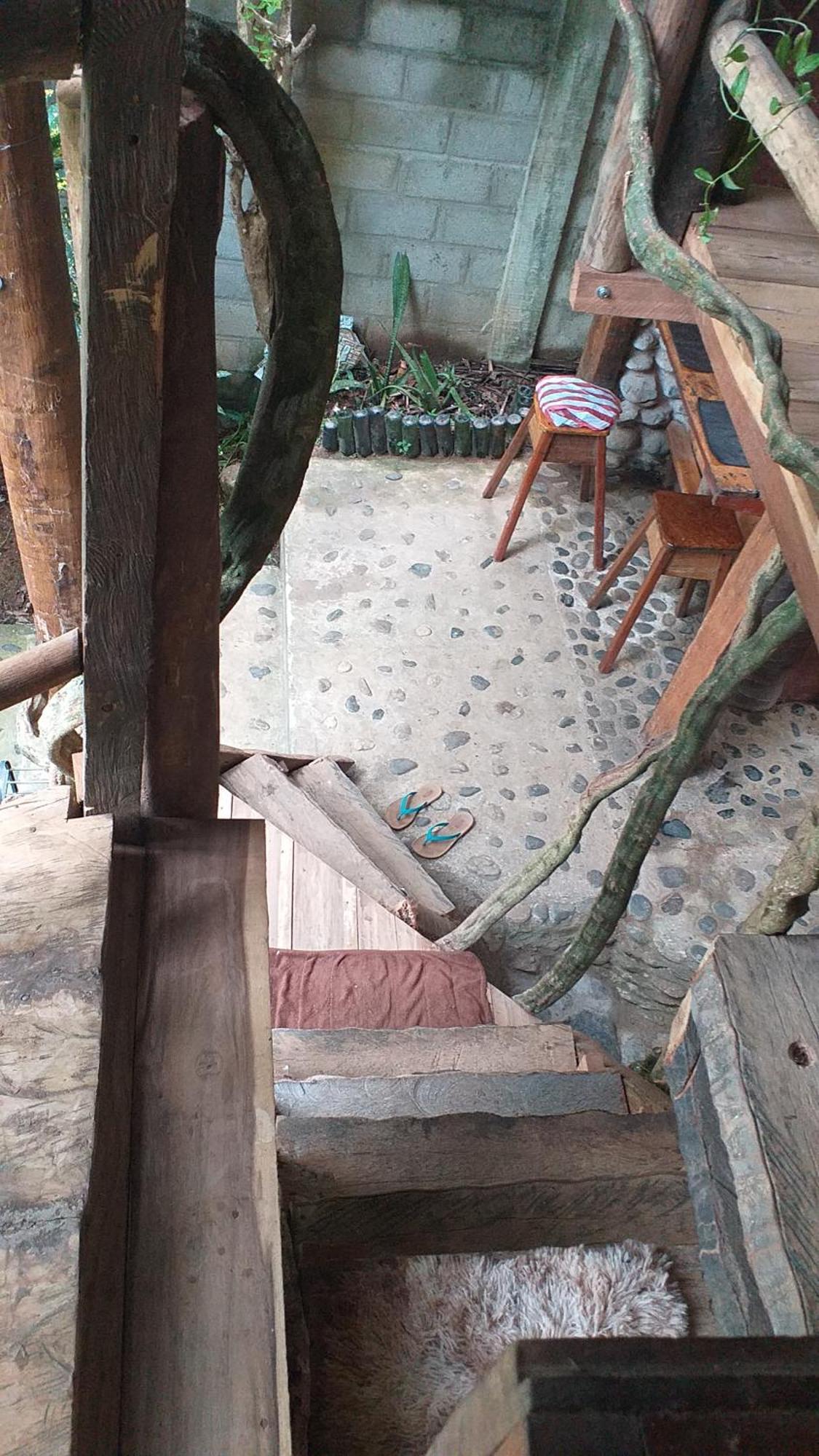 Sierra Tayrona Hostel 엘 자이노 외부 사진