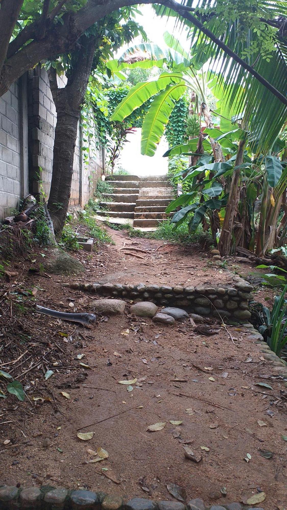 Sierra Tayrona Hostel 엘 자이노 외부 사진