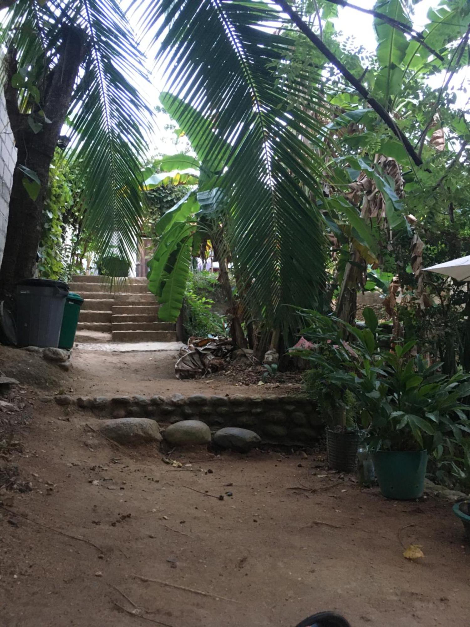 Sierra Tayrona Hostel 엘 자이노 외부 사진